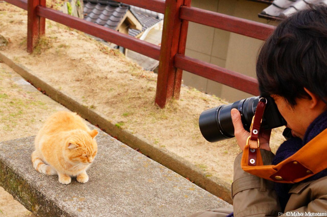 竹國照顕氏カメラ教室＜尾道を撮りたい！002＞Vol.5 艮神社～猫の細道 